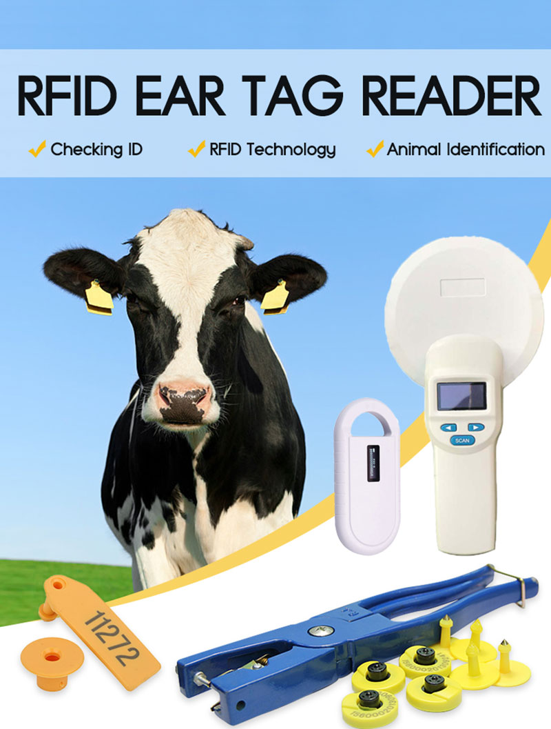 RFID-dyremærkeindsamlingsidentifikation Håndholdt kortlæser